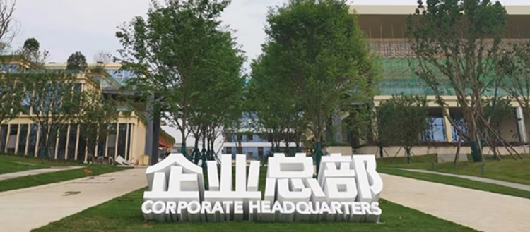 斜坡字使用